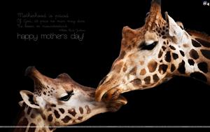 Mother`s Day